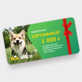 Подарочный сертификат на 1000 тыс. рублей