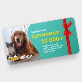 Подарочный сертификат на 10000 тыс. рублей