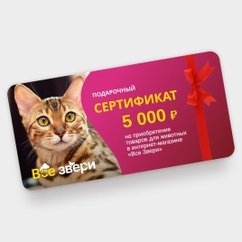 Подарочный сертификат на 5000 тыс. рублей