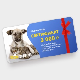 Подарочный сертификат на 3000 тыс. рублей