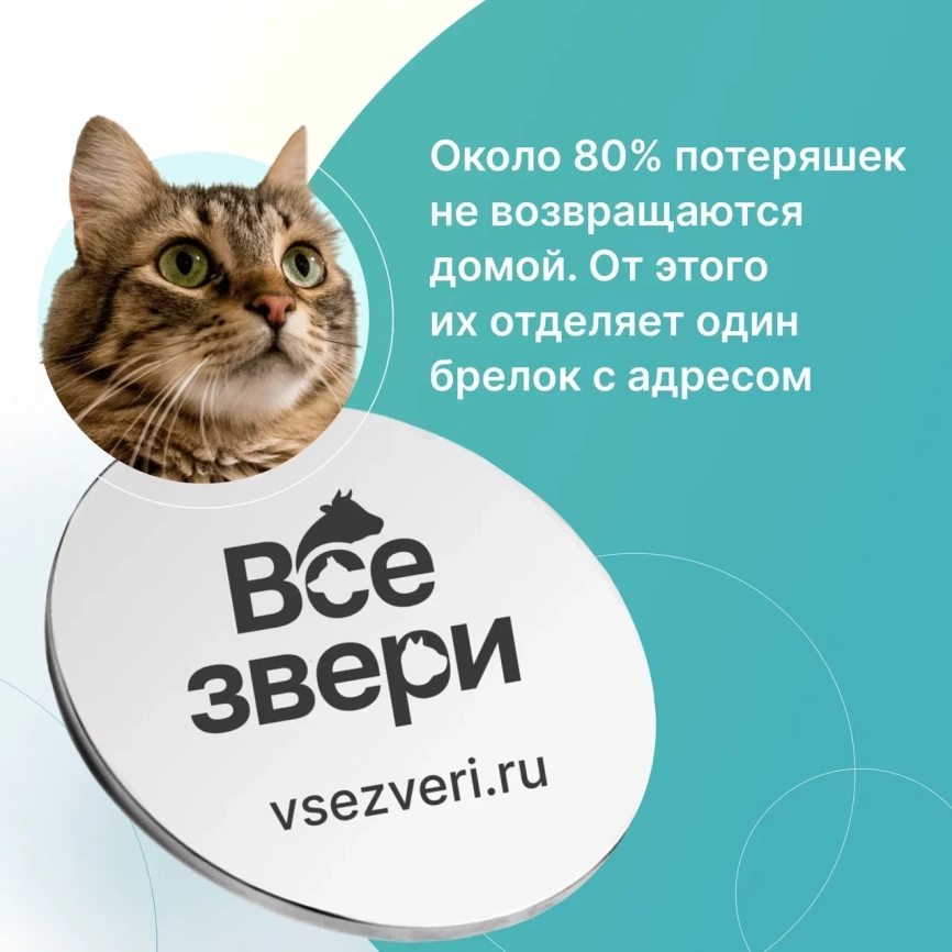 Адресник для собак и кошек VSEZVERI с QR кодом, брелок на ошейник фото 2
