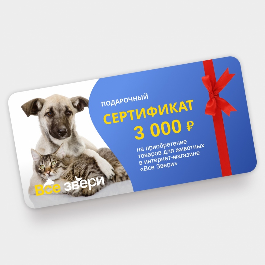 Подарочный сертификат на 3000 тыс. рублей фото 1