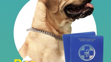 Где приобрести Международный ветеринарный паспорт «Все Звери» 