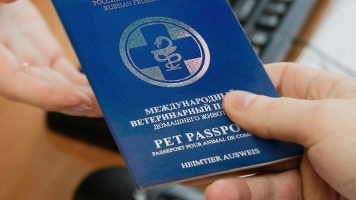 Про ветеринарный паспорт 