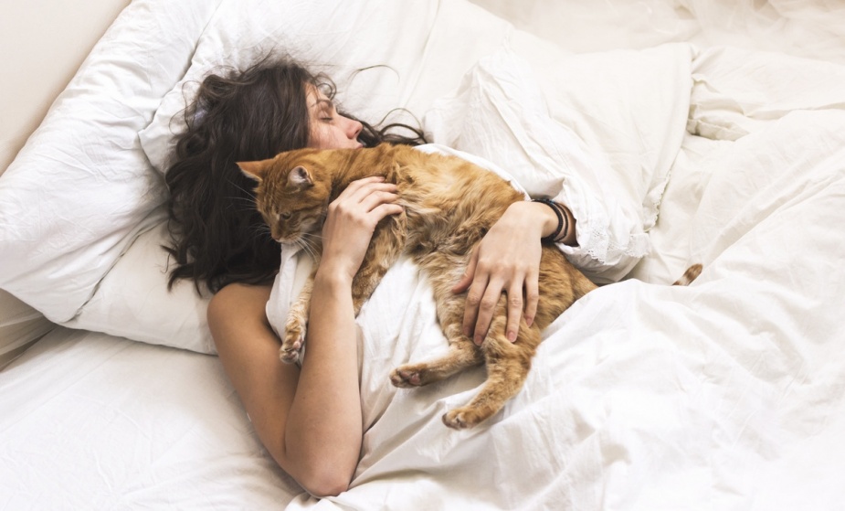 Почему кошка спит с хозяином