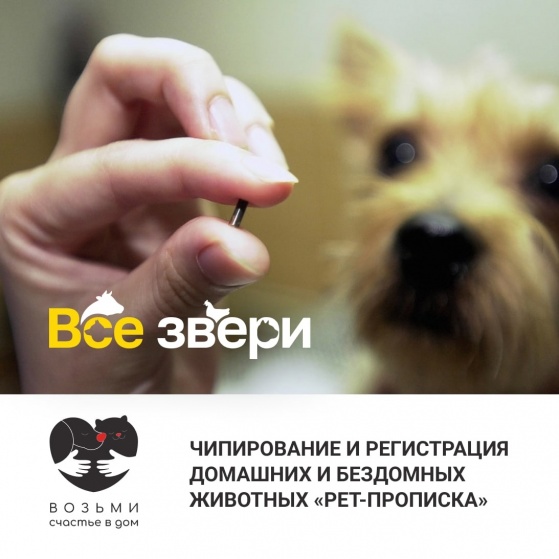 Акция Pet-прописка с фондом «Возьми счастье в дом»