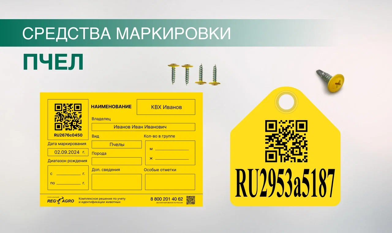 Чипы для собак5